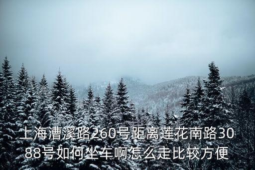 上海漕溪路260號距離蓮花南路3088號如何坐車啊怎么走比較方便