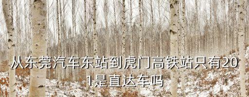 東莞市201路公交途徑，從東莞汽車東站到虎門高鐵站只有201是直達車嗎