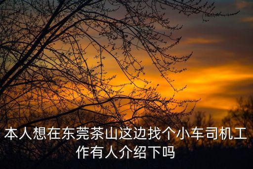 本人想在東莞茶山這邊找個小車司機(jī)工作有人介紹下嗎