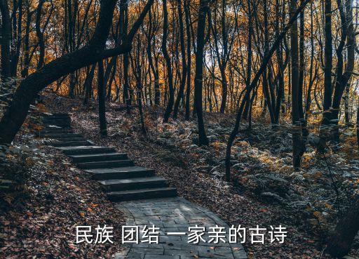 民族團(tuán)結(jié)一家親,民族團(tuán)結(jié)一家pro"主題曲:雪松是有根的
