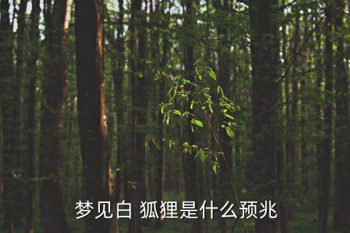  夢見白 狐貍是什么預兆