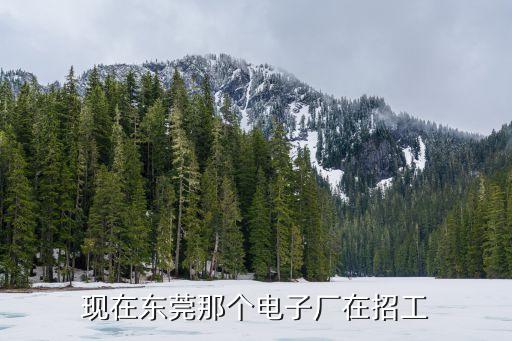東莞興龍電器有限公司招聘信息，現(xiàn)在東莞那個(gè)電子廠在招工