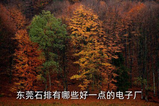東莞石排有哪些好一點的電子廠