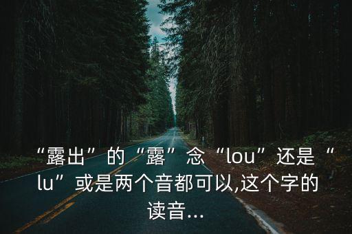 偷偷lu,漢語發音有何差別?