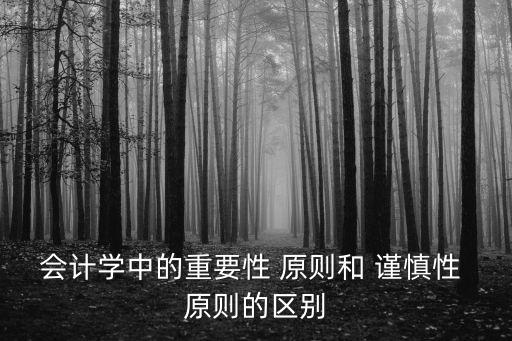 會計學中的重要性 原則和 謹慎性 原則的區別
