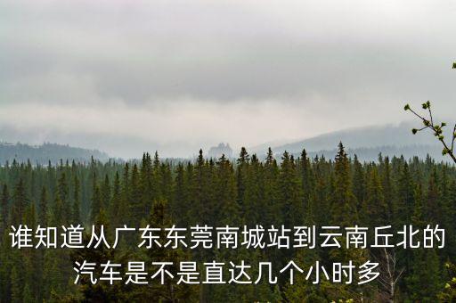 東莞到丘北車票，東莞到云南丘北多少車費現在