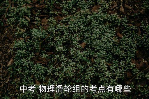 中考物理壓軸題,滑輪組與浮力組合的計(jì)算,有用功、無(wú)用功