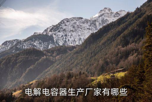 電解電容器生產(chǎn)廠家有哪些