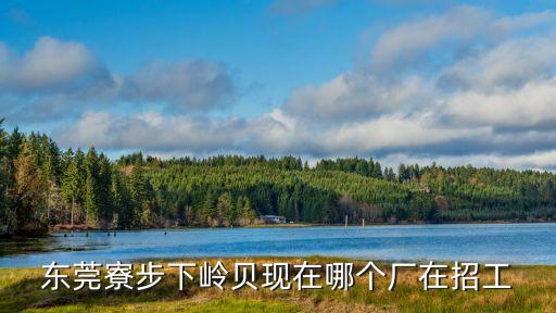 東莞下嶺貝那招工，現在東莞寮步下嶺貝那個電子廠還招工