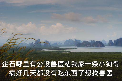 東莞企石寵物醫(yī)院，企石哪里有公設(shè)獸醫(yī)站我家一條小狗得病好幾天都沒有吃東西了想找獸醫(yī)