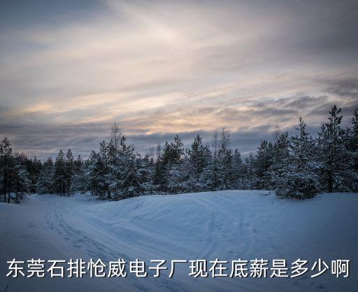 東莞石排愴威電子廠現在底薪是多少啊