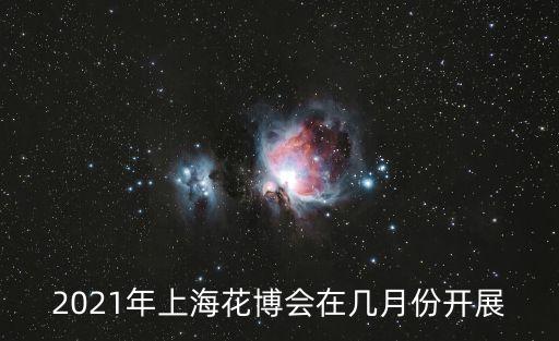 2021年上?；ú趲自路蓍_展