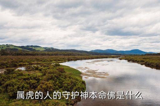屬虎的人的守護(hù)神本命佛是什么