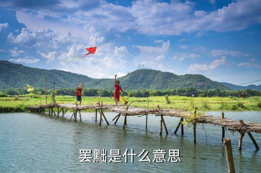 罷黜是什么意思， 罷黜百家獨尊儒術名詞解釋