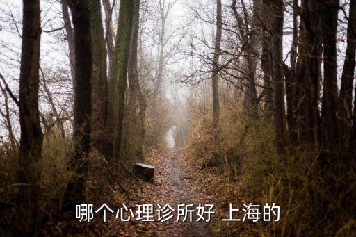哪個(gè)心理診所好 上海的