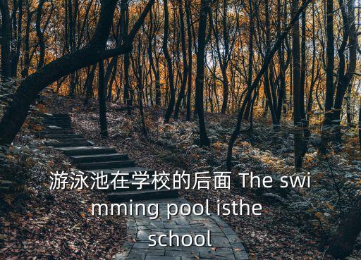 游泳池在學(xué)校的后面 The swimming pool isthe school