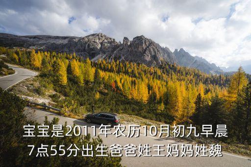 寶寶是2011年農(nóng)歷10月初九早晨7點55分出生爸爸姓王媽媽姓魏