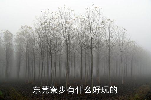 東莞寮步有什么好玩的