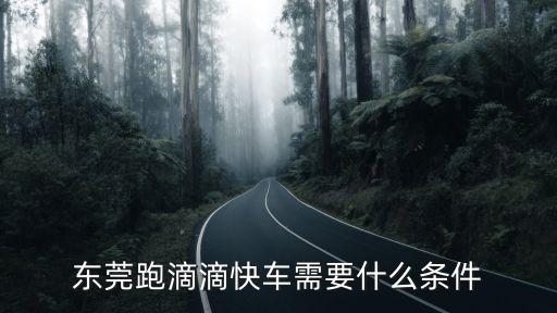 東莞跑滴滴快車需要什么條件