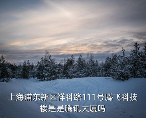 上海市騰飛新區，上海8區是新區嗎