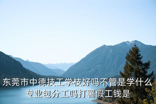 東莞市中德技工學枝好嗎不管是學什么專業包分工嗎打署假工錢是