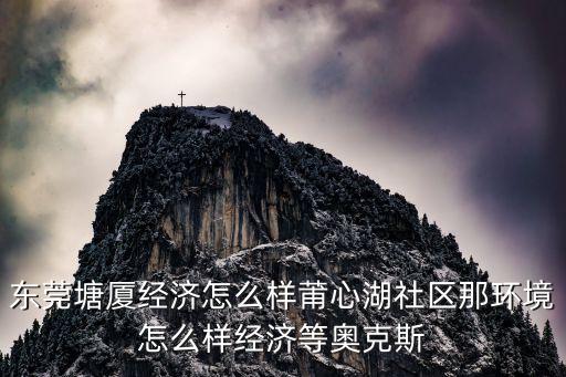 東莞塘廈經濟怎么樣莆心湖社區那環境怎么樣經濟等奧克斯