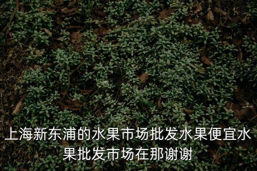 上海新東浦的水果市場批發水果便宜水果批發市場在那謝謝