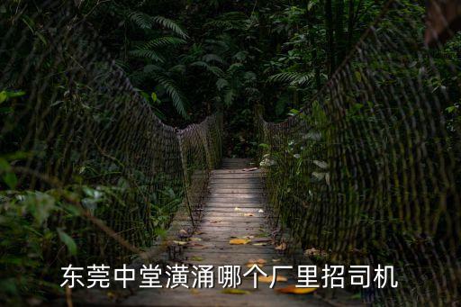 東莞中堂招聘A2司機，求知在東莞執A2的司機月薪大致多少