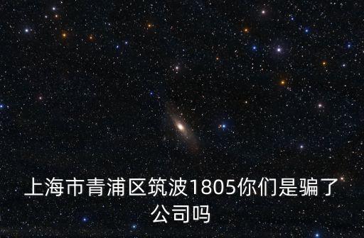 上海市青浦區筑波1805你們是騙了公司嗎