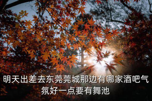 東莞益海嘉里賽瑞吧，求助新東莞人晚上哪家酒吧好玩啊