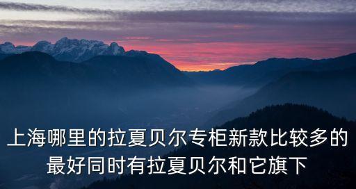 上海市拉夏貝爾審計機構(gòu)，上海拉夏貝爾是什么公司呢