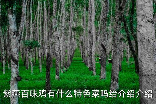 紫燕百味雞有什么特色菜嗎給介紹介紹
