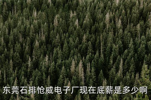 東莞石排威力電子廠，東莞石排有沒有好一點的電子廠