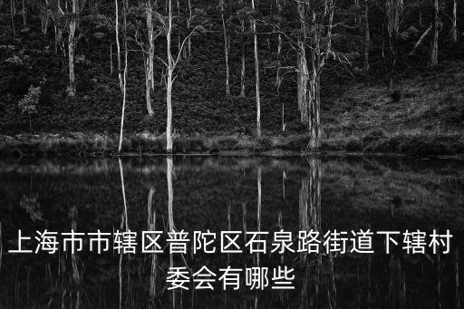 上海市市轄區(qū)普陀區(qū)石泉路街道下轄村委會(huì)有哪些