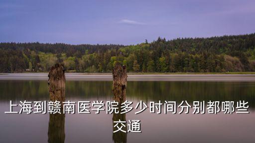 上海市贛南醫(yī)院批準(zhǔn)了嗎，南政上海醫(yī)院是公立的嗎