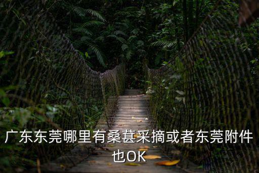 廣東東莞哪里有桑葚采摘或者東莞附件也OK