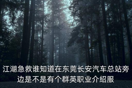 東莞莞式iso服務微信，東莞萬江SN紅場哪家酒店服務好js多優惠高價格公道有T臺