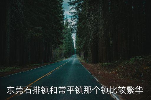 東莞石排哪條街最繁華，東莞石排鎮和常平鎮那個鎮比較繁華