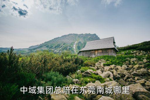 中域集團總陪在東莞南城哪里