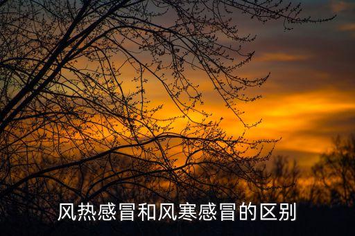 風寒感冒與風熱感冒的區別，風熱感冒和風寒感冒的區別是什么