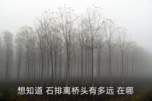 東莞石排離橋頭鎮，從東莞石排到橋頭多久