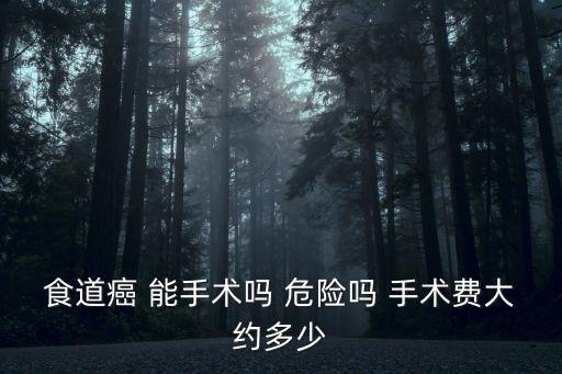 上海市胸科醫院食管癌手術，那家醫院食道癌手術做的最好