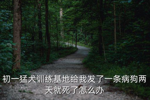 初一猛犬訓(xùn)練基地給我發(fā)了一條病狗兩天就死了怎么辦