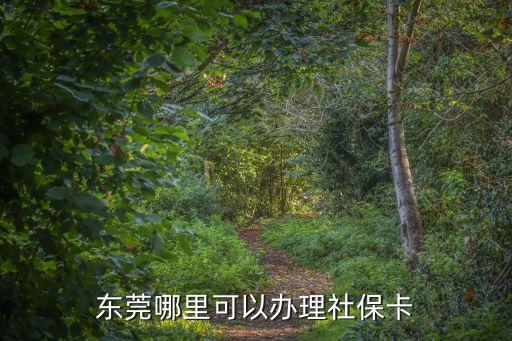 東莞怎么辦社保卡，東莞哪里可以辦理社保卡