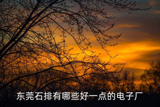 東莞石排有哪些好一點的電子廠