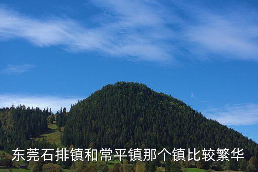 東莞石排最繁華的地方，東莞石排商業街在哪里比圓州繁華么