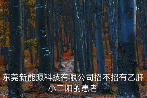 東莞英飛能新能源科技有限公司，東莞新能源有限公司