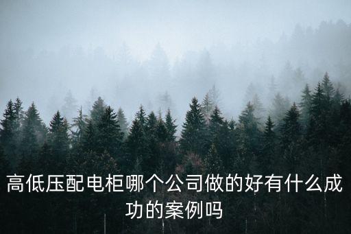 上海市配電配套安裝工程案例，蘇州巨能發(fā)電配套設(shè)備有限公司上海分公司怎么樣