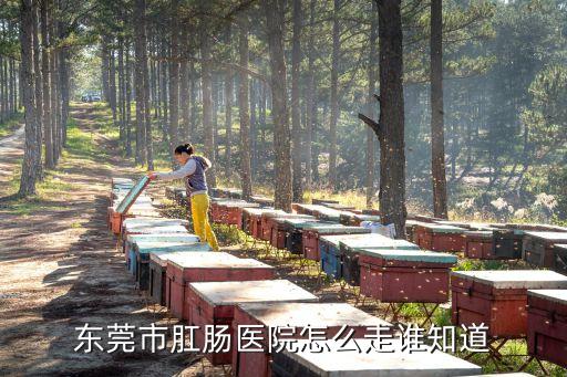 東莞市肛腸醫院怎么走誰知道