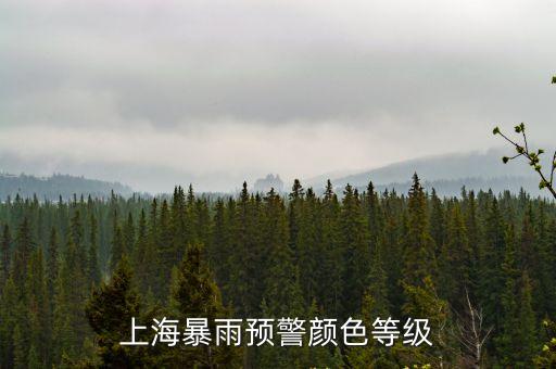 上海市發布暴雨加藍色預警，上海發布暴雨藍色預警信號當地做了哪些防汛響應行動